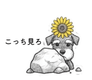882000302