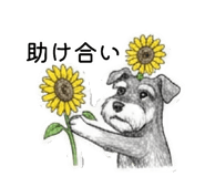 882000311