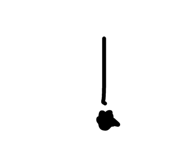 882002529