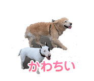 882012265
