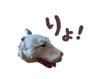 882012268