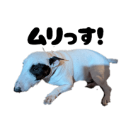 882012269