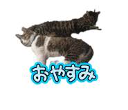 882012272