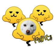 882018513
