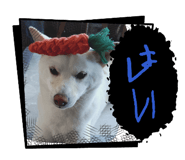882018523