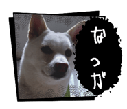 882018525
