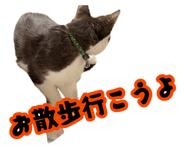 882018915