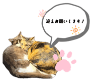 882018922