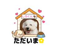 882020864