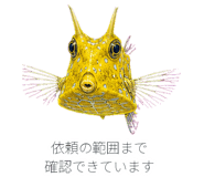 882029810