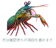 882029874