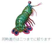 882029877