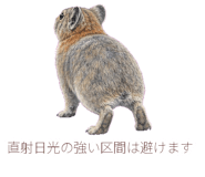 882030237