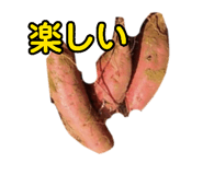 882036940