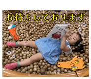 882037999
