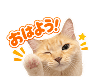 882043937