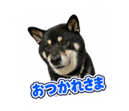 882044943