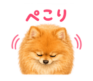 882045447