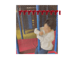 882045613