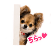 882046258