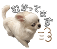 882046496