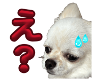 882046502