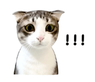 882046509