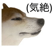 882046964