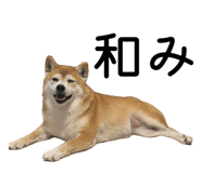 882046965