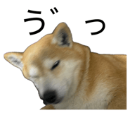 882046968