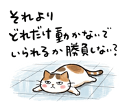 882050575