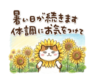 882050576