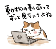 882050580