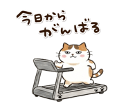 882050590