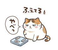 882050591