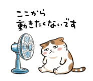 882050593