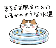882050597