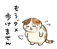 882050601
