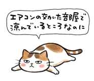 882050603
