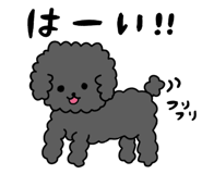 882051801