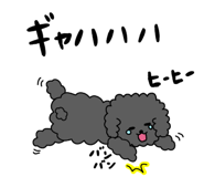 882051807