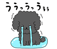 882051808
