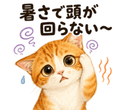 882054838