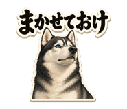 882057502