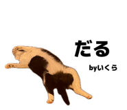 882062570