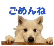 882064005