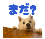 882064009