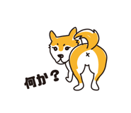 882065342