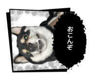 882067305