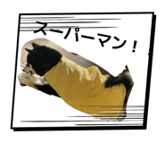 882067310